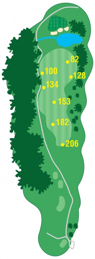 Official Laurel Ridge diagram for hole 9