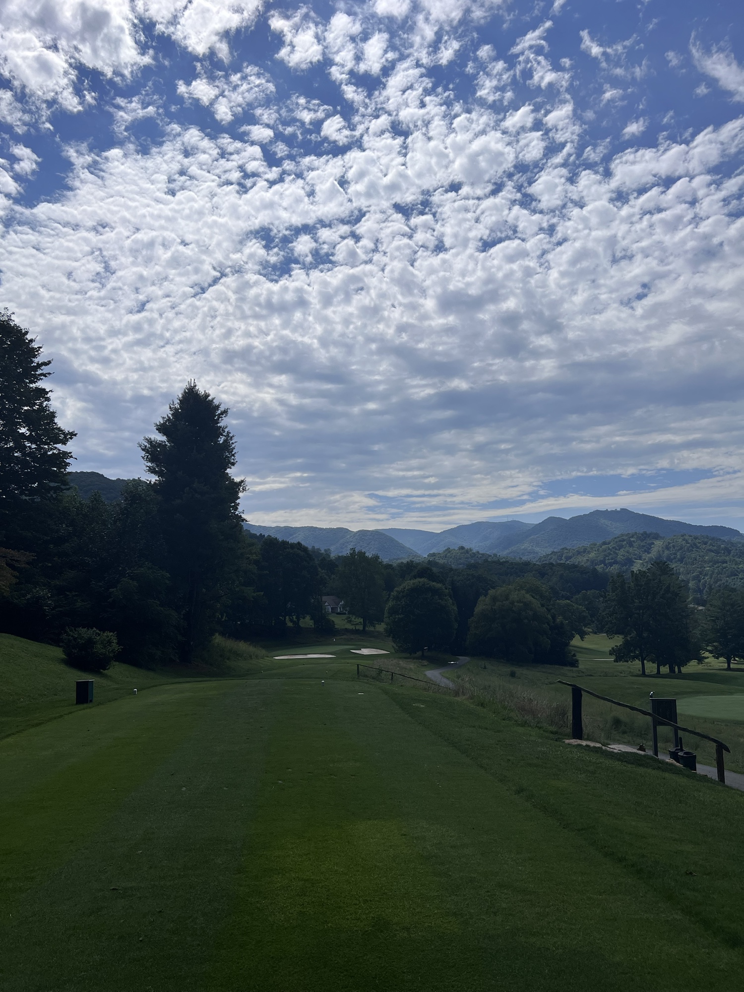 Springdale tee with wooded mountains beyond