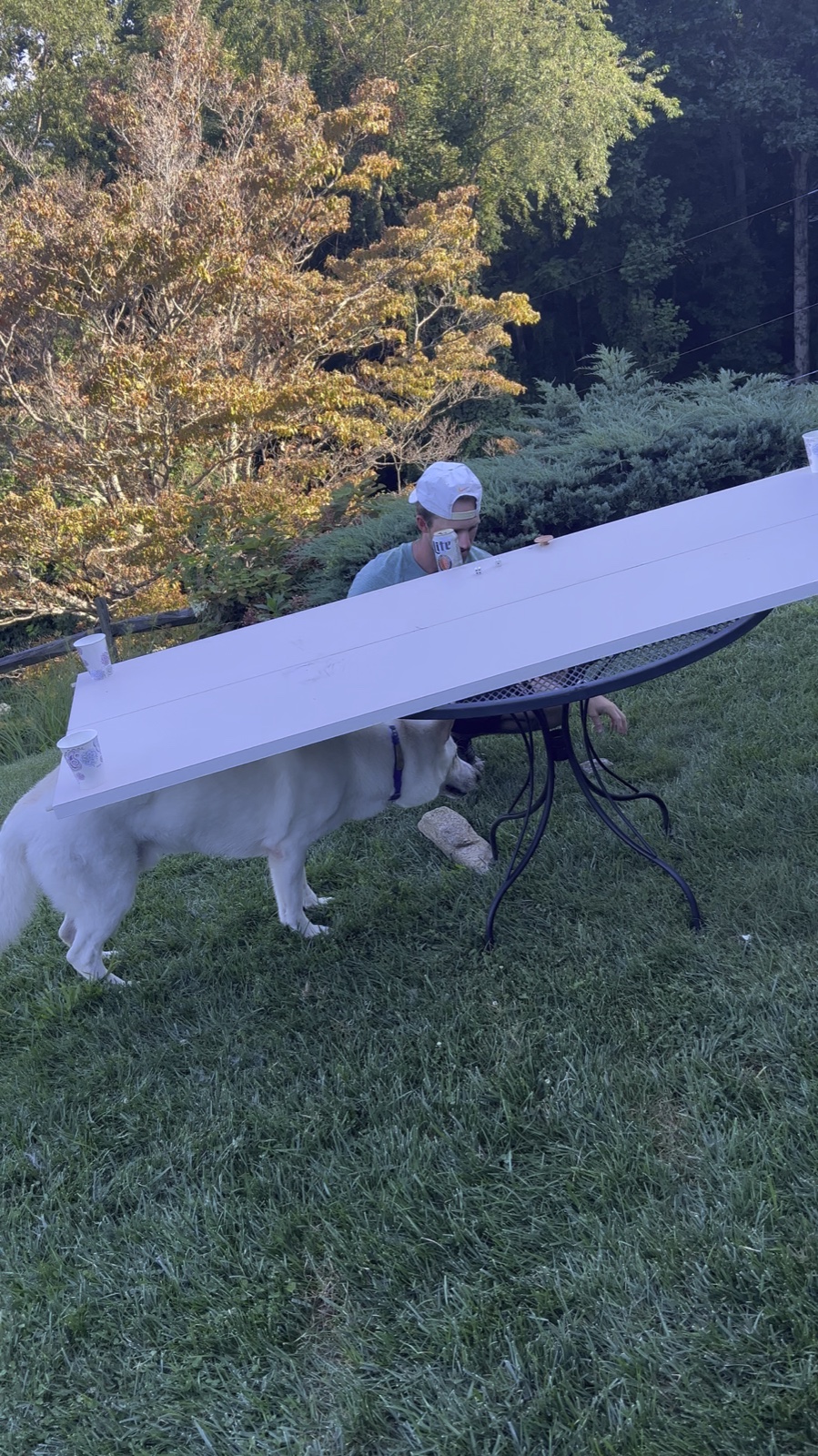 Still frame from a 2023 beer-die video
